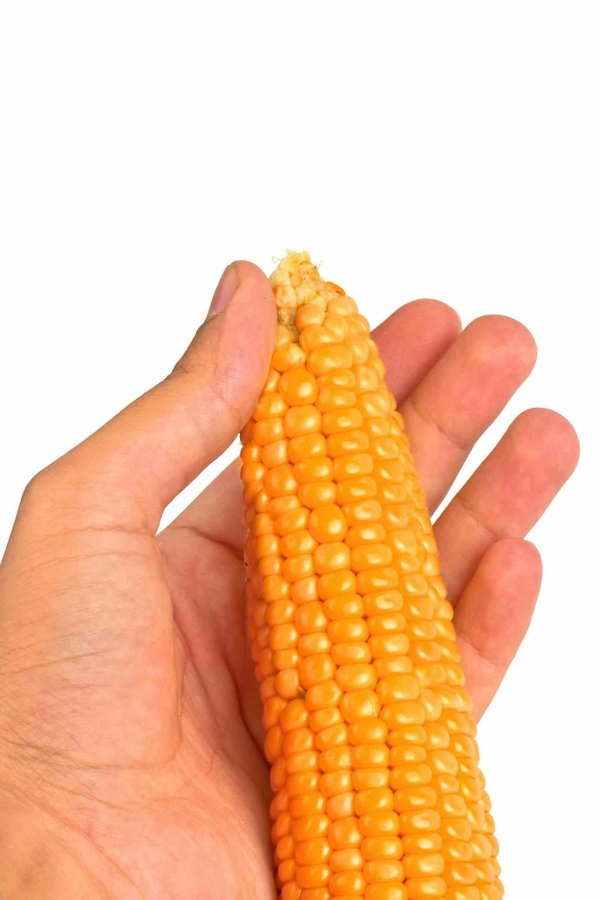 How do I clean and adjust the carburetor on a Yamaha SR400 for better performance?